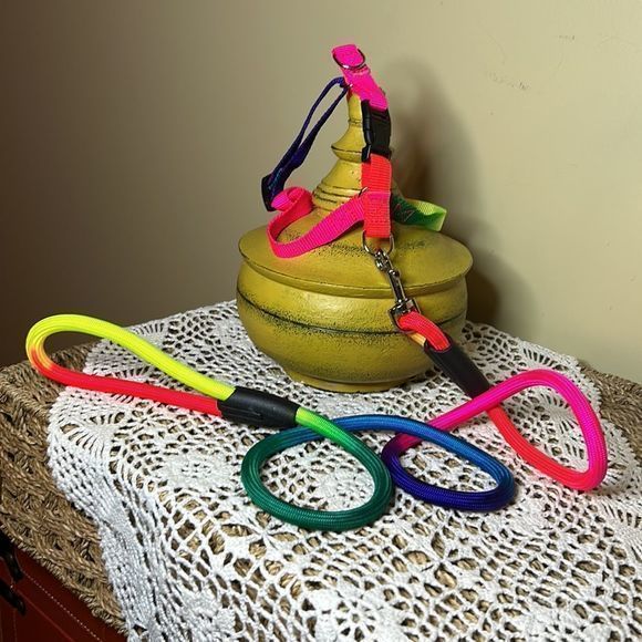 Rainbow‎ Cat harness with leash - Picture 3 of 3